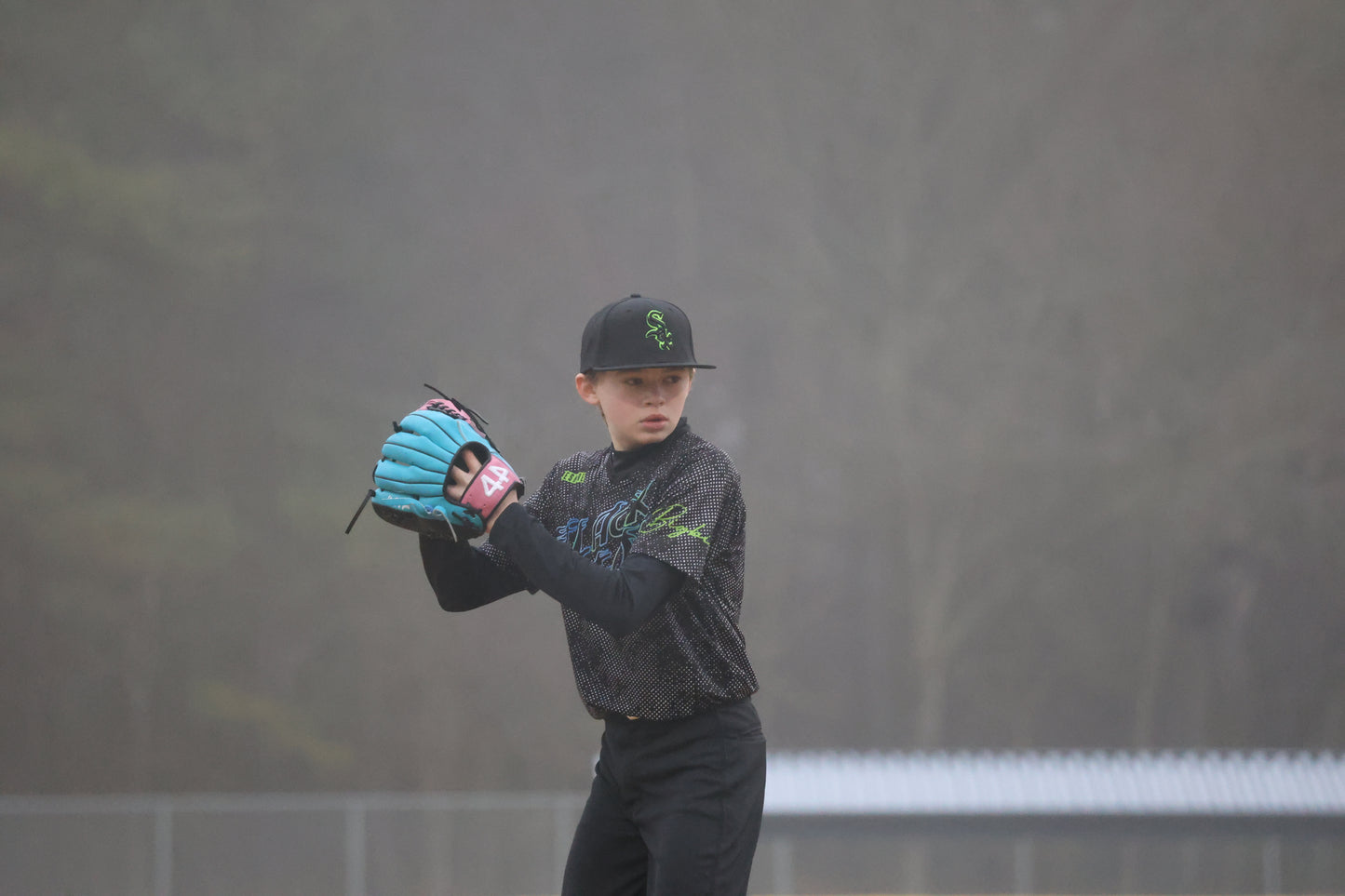 BSP BLACKSOX 12U