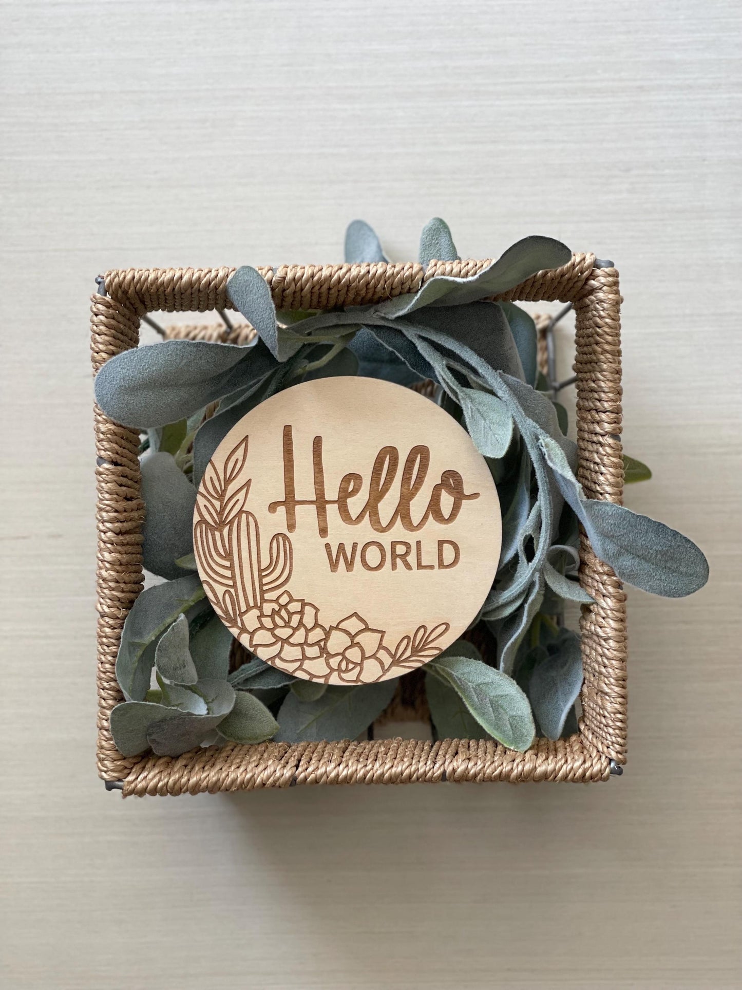 Cactus/Succulent Baby Monthly Milestone Markers & Name Sign