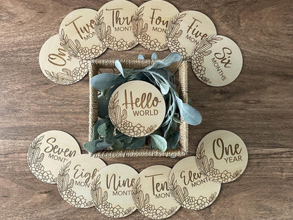 Cactus/Succulent Baby Monthly Milestone Markers & Name Sign