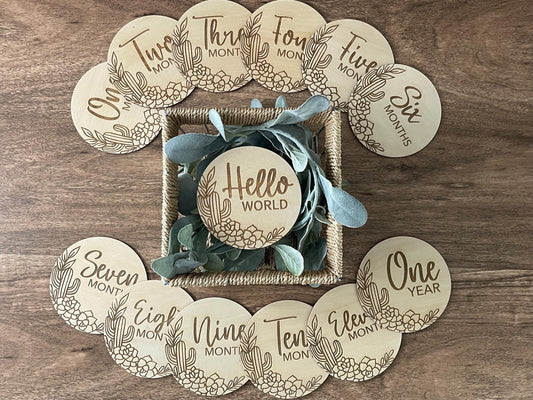 Cactus/Succulent Baby Monthly Milestone Markers & Name Sign